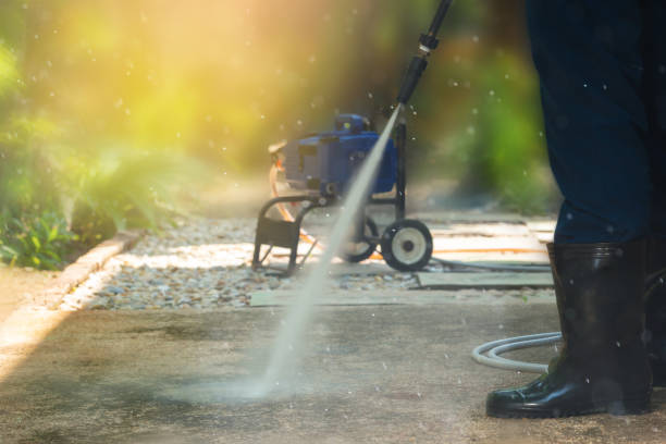 Best Animal Enclosure Cleaning  in Two Rivers, WI